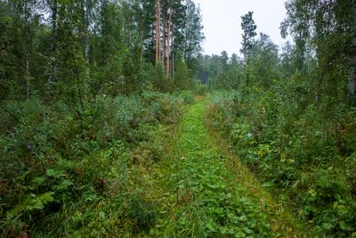 R0009941.jpg