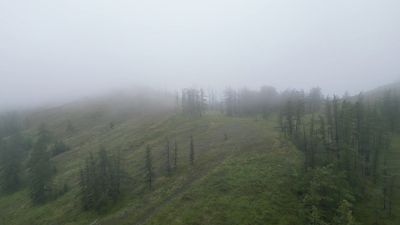 South Ural 2024 d701.jpg