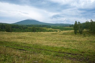 R0009960.jpg