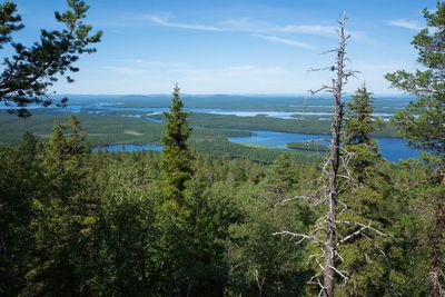 R0008942.jpg