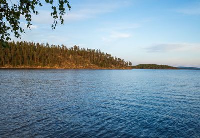 R0009734.jpg