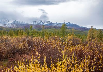 R0011158.jpg
