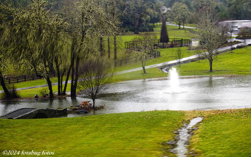 Farm Pond on Rainy Day in Oregon