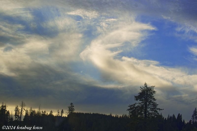 Evening Sky