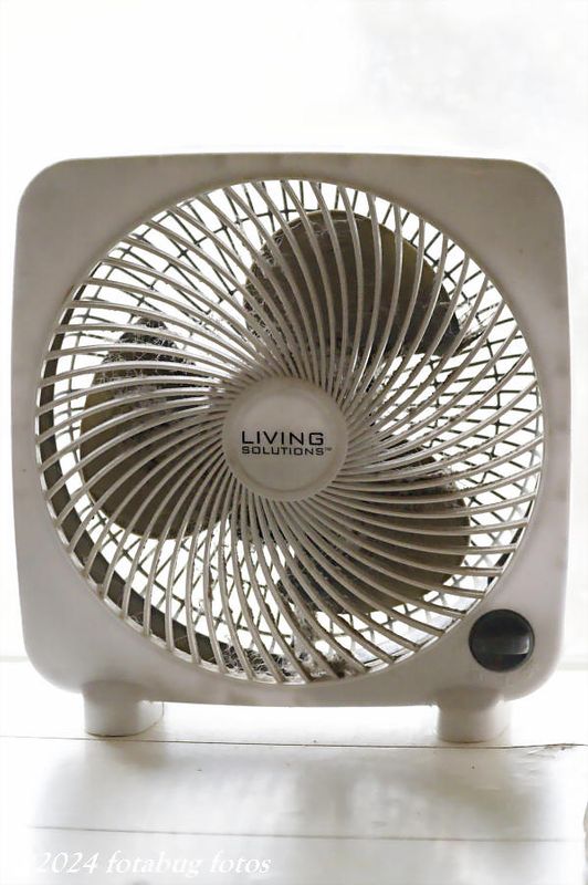 I Am a Big Fan