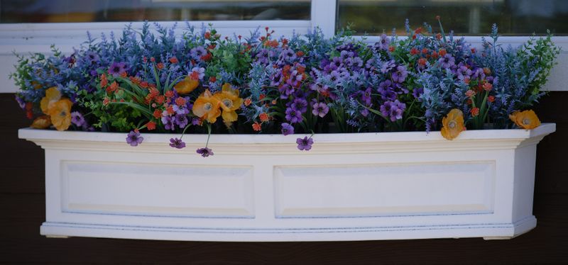 Window Box at Hillbilly Brew