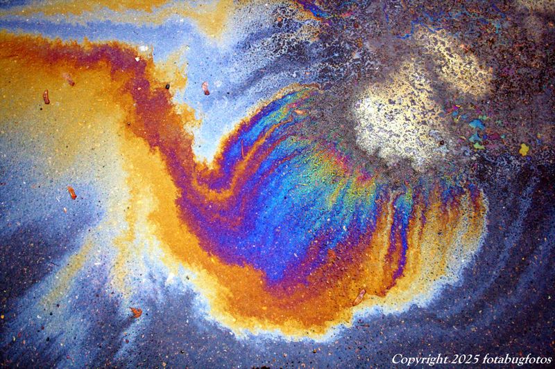 Oil on Pavement