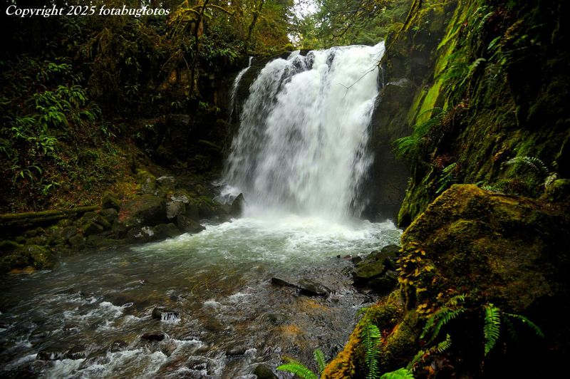 Majestic Falls, Linn County, Oregon