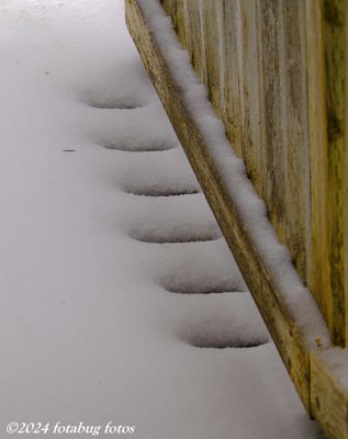 The Ramp to Our Porch during the storm.