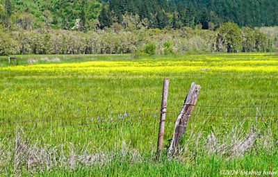 Nearby Farm Field