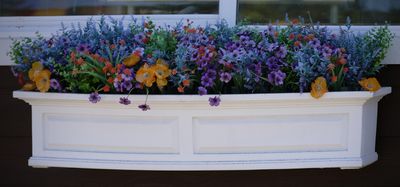Window Box at Hillbilly Brew