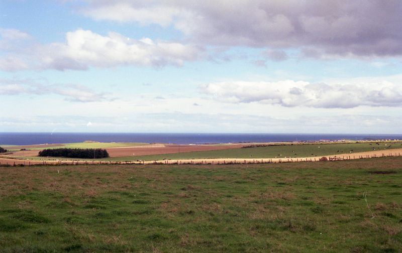 img209.jpg