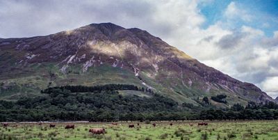 img034-2.jpg
