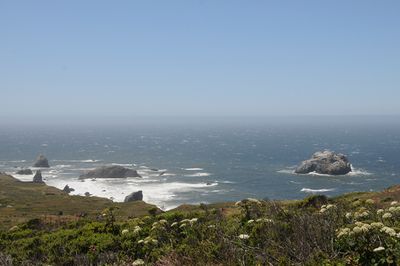 Bodega Bay  & The Sonoma Coast