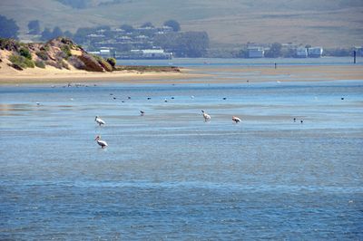 Bodega Bay  & The Sonoma Coast