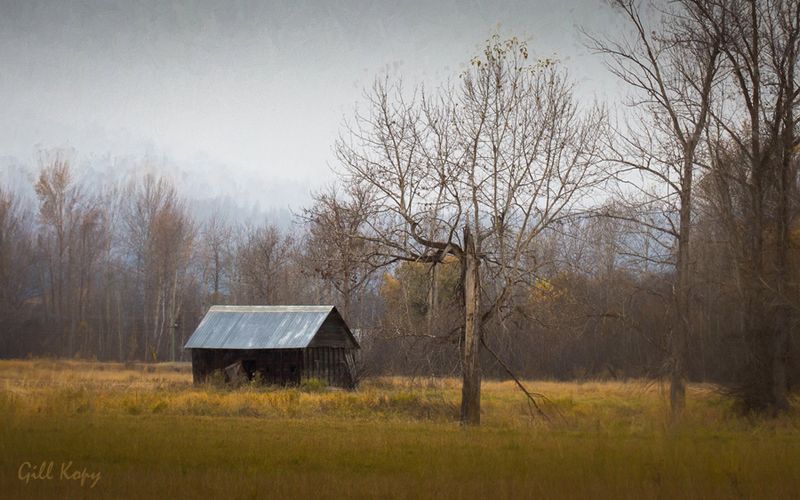 The Barn