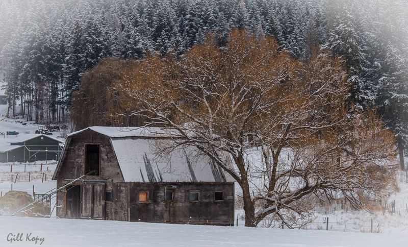 Another barn