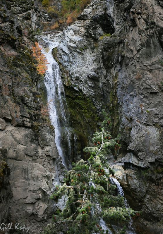 Fintry falls