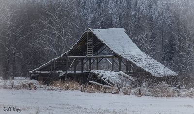 Mabel Lk Barn