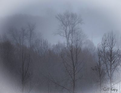 Winter's Coming