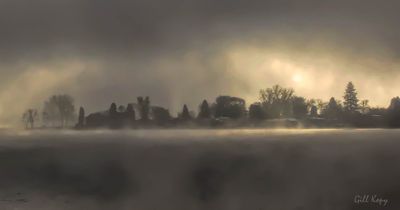 Morning Fog.jpg