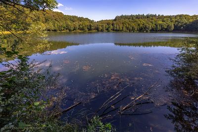 Holzmaar
