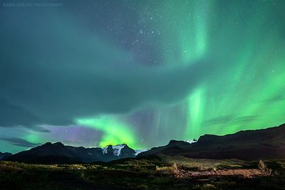 Skaftafell (neu)