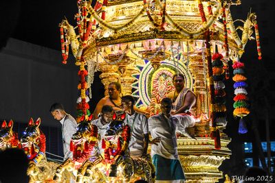 Golden chariot