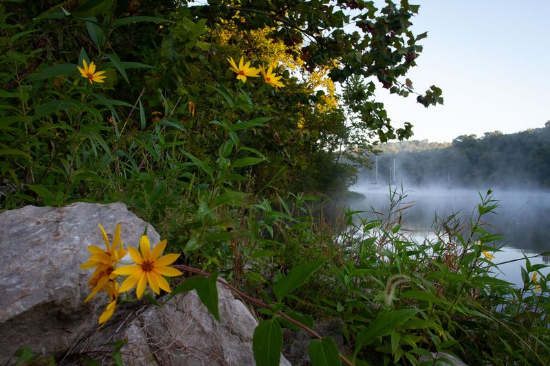 Morning Dew.jpg