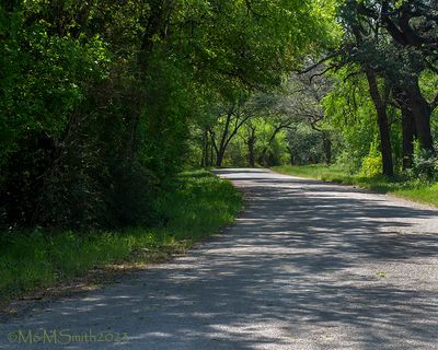 County Road 210 Gonzales County 