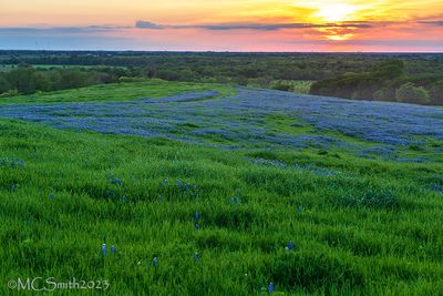 Sunset over the Bluebonnet Trails