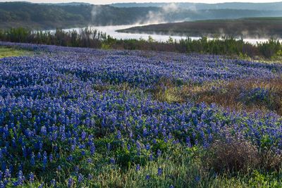 Along the Colorado