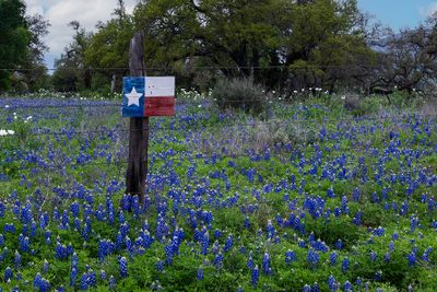  Texas is a State of Mind