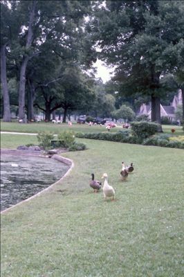 Houston