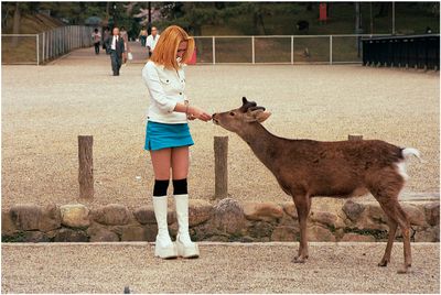 Nara