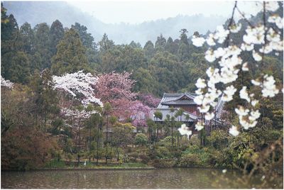 Kyoto