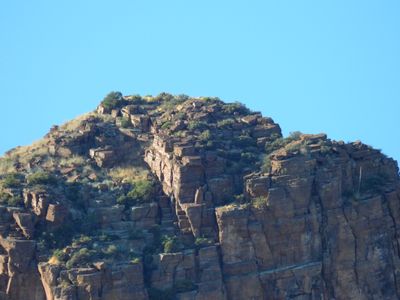 DSCN0155.JPG