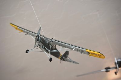 Fieseler Fi 156 Storch (Stork). 