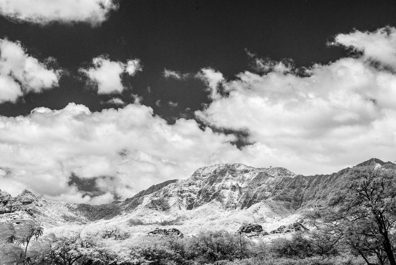 20190721-135813-IMGP0010.JPG