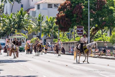 20240608-094853-K33A0356.JPG
