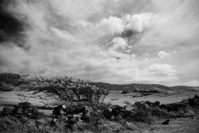 20130610-100240-IMGP0058.JPG