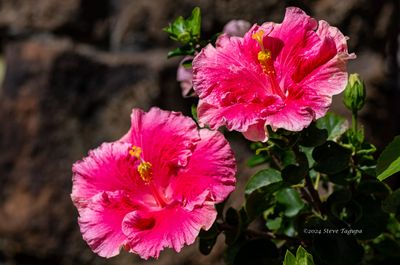 g13/67/759567/3/174881243.b2f25bc2.JPEG