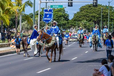 20240928-1_15 mm).JPG