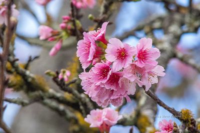 g13/67/759567/3/175016160.8d1e2203.JPEG