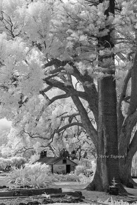 20160314-101949-IMGP0046.JPG