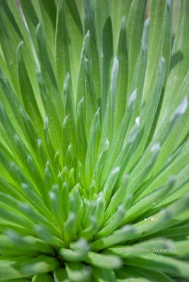 g13/67/759567/3/175299037.0510d1d1.JPEG