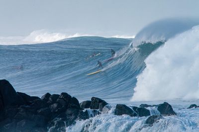 Hawaii Surfing & Water Sports