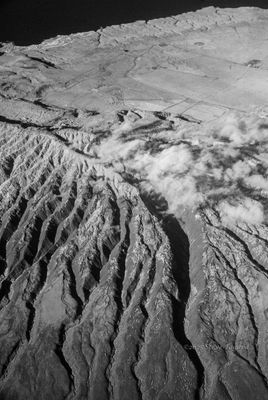 Infrared Photos