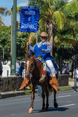 20250927-0_50 mm).JPG