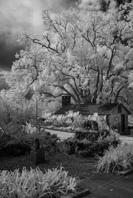 Infrared Photos